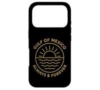 Gulf Of Mexico Always And Forever Case for iPhone 17 Pro