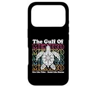 Gulf of Mexico Est. 1550 Retro Vintage Case for iPhone 17 Pro