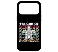 Gulf of Mexico Est. 1550 Retro Vintage Case for iPhone 17 Pro Max