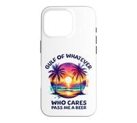 Gulf of Whatever Mexico or America Who Cares Pass Me a Beer Case for iPhone 16 Pro