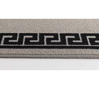 GULLAMBO Washable Door Mat Indoor - Non Slip Mat For Wooden Floor - Front Door Mat Inside Door Mat, Super Absorbent Dirt Trapper - Kitchen Indoor Door Mat Hallway Runner Rugs (Greek Grey, 67x220cm)
