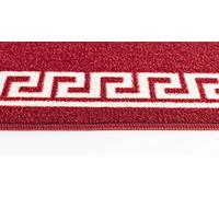 GULLAMBO Washable Non-Slip Door Mat - Super Absorbent Dirt Trapper for Wooden Floor, Front Inside, Kitchen, Hallway Runner Rug (Greek Red, 80x300cm)