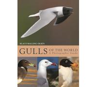 Gulls of the World - A Photographic Guide