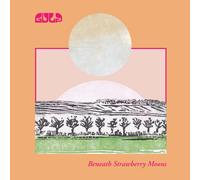 Gulp Beneath Strawberry Moons (Vinyl) (US IMPORT)