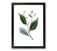 Gum Benjamin Tree Illustration Framed Print | A2 Black Framed Wall Art | Ready to Hang | Modern Floral Picture | Living Room Bedroom Lounge Office