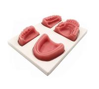 Gum Multiple Wound Silicone Suture Practice Mold Four-tooth Module Medical Student Oral Surgery Training Module, Suitable For Practitioners To Practice Surgical Cutting, Suturing, Knotting And Other T