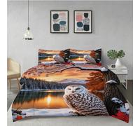 Gumntun Bedding Set King 240x220 cm Animal Owl, Fashionable Patterns and Unmatched Comforter Cover Set, Microfiber Quilt Cover with 1 Duvet Cover 94"x 86" & 2 Pillowcases 19" x 29"_6328a