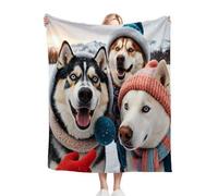 Gumntun Single Fleece Throw Blankets Three Animal Dogs, 40x50 Inch Blanket & Throw for All Seasons, Fluffy Flannel Blanket for Boys Girls Adults Teens 100x130 cm_1297a