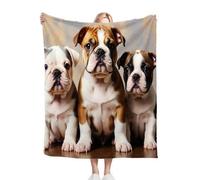 Gumntun Single Fleece Throw Blankets Three Bulldogs, 40x50 Inch Blanket & Throw for All Seasons, Fluffy Flannel Blanket for Boys Girls Adults Teens 100x130 cm_1724a