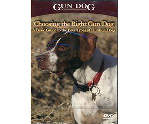 Gun Dog Choosing the Right Gun Dog DVD