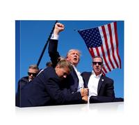 GUN SUPPLIES OUTLET LLC Donald Trump Assassination Attempt Fight Picture on Stretched Canvas Wall Art, “Keep Fighting Fist Pump”, 16x20 in