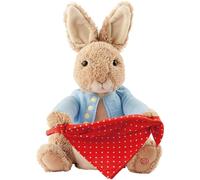 GUND Peter Rabbit Peter Rabbit Peek A Boo Soft Toy