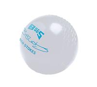 Gunn & Moore GM All-Weather Rubber Cricket Training Ball, BS55 Ben Stokes, 70 Grams Junior Size, White