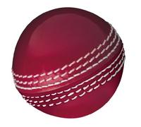 Gunn & Moore GM Cricket Training Ball, Skills Ball, Red, Size Senior/Adult/Mens & Boys Aged 13 and Over