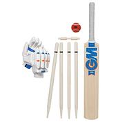 GM | Young Gunn Wooden Cricket Bat and Stumps Set | Gunn & Moore