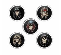 Guns N Roses Appetite For Destruction Badge Set (Pack of 5) (One Size) (Multicoloured)