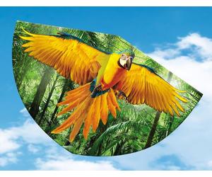 Gunther Papagei - Kite with handle and line G1179