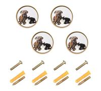 GuoChe 4 Pack Kitchen Cabinet Knobs and Handles Brindle Mixed Breed Dog Tuxedo Cat Friends Closet Knobs for Wardrobe 1.26 Inch (32mm)