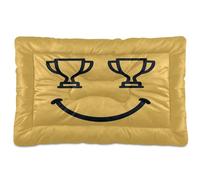 GuoChe Victory Look Washable Pet Bed Mat Soft Anti-Slip for Medium/Large Dogs 36" x 24"
