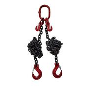 GUODDM Obstacle car 8mm 2 Leg Chain Sling, Heavy Duty Engine Lift Chain With Hooks, Grade 80 Chain With Sling Hooks Lifting Pulling Recovery Towing Breakdown car(3t/5m)