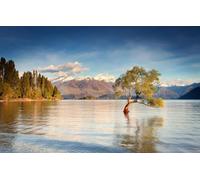 GUOHLOZ Jigsaw Puzzles for Adults 1000 | 1000 Piece Jigsaw Puzzles for Adults, New Zealand, Lake Wanaka, Landscapes, 75x50cm