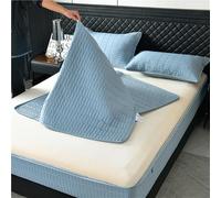 GUOIOOI Fitted Sheet Thickened 6-Sided Full Coverage Quilted Zippered Mattress Pad Cover with Deep Pocket 3 Piece Bedding Set with Two Pillowcases(Light blue,Twin XL/H:25cm)