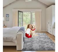 GUOJUN Living Room Rug 60 x 140 cm Non Shedding, Easy to Clean Soft Fluffy Area Carpet for Living Room, Bedroom, Light Grey