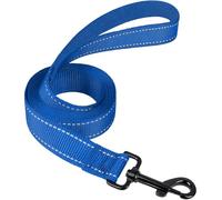 Guoxintech Handle Dog Lead, Double-Sided Reflective Heavy Duty Nylon Leash for Training and Daily Walking, for Small to Medium Dogs, 1.8m × 2.5cm (Blue)