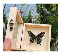 Guoyoocc Butterflies Specimen,Taxidermy Of Butterflies,Mounted In An Insect Display Frame,Real Huge And Exotic Insect In 3D Display Box,Framed Incredible Insect Entomology Decor,Wooden Picture Frame