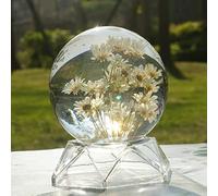 Guoyoocc Real Flower Paperweight,Sunflower Rose Plant Specimen,Immortal Flower Crystal Ball Resin Decorative Ornament With Transparent Base, For Family,Friends,Couples And Children