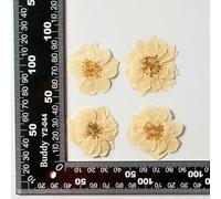 GUOZHAN White Rose Pressed Dried Flowers for Resin Jewelry Making Material 3.5-5.5cm Dried Natural Home Decorations 12PCS/Pack