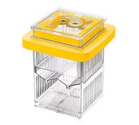 Guppy Breeder Box, Floating Transparent Frame Hatching Incubator, 3.74x3.75x3.74 Inches Compact Portable Fish Tank Divider, Acclimation Case for Shrimp and Mother Aquatic Life