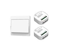 Guriayus Wireless Switch Wall Panel Wifi Transmitter Intelligent Wire Switch B