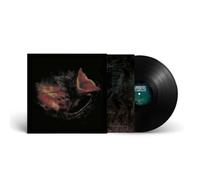 Gurriers Nobody's Coming To Save You LP vinyl Europe Play It Again Sam - PRESALE