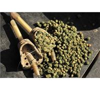 Guru 24g In-Line system pellet feeder mini