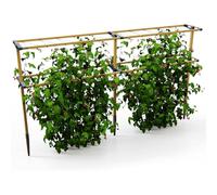 Gusta Garden BERRY BUDDY climbing solution for berries - 240 cm