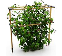 Gusta Garden BERRY BUDDY climbing solution for berries - 480 cm