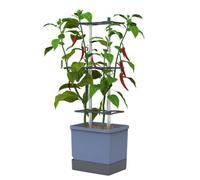 Gusta Garden Charly Chili Blue Regular, Planter Pot, Aluminum Climbing Aid, Self-Watering, 4.5L Water Reservoir, 10L Soil Capacity