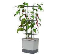 GUSTA GARDEN Charly Chili Chili Pot, Plant Pot with Trellis, Watering System and Robust Frame (Light Grey, XL)