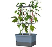 Gusta Garden Charly Chili Blue Xl, Planter Pot, Aluminum Climbing Aid, Self-Watering, 4.5L Water Reservoir, 20L Soil Capacity
