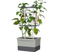 GUSTA GARDEN Charly Chili Chili Pot, Plant Pot with Trellis, Watering System and Robust Frame (Light Grey, XL)