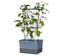 Gusta Garden Charly Chili Chilli Pot Blue - Planter with Climbing Aid, Self-Watering System & Robust Frame - 4.5L Water Reservoir & 10L Soil Capacity