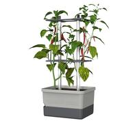 Gusta Garden Charly Chili Chilli Pot Light Grey - Planter with Climbing Aid, Self-Watering System & Robust Frame - 4.5L Water Reservoir & 10L Soil Capacity