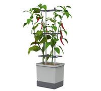 Gusta Garden Charly Chili Grey Regular, Planter Pot, Aluminum Climbing Aid, Self-Watering, 4.5L Water Reservoir, 10L Soil Capacity