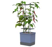 Gusta Garden Charly Chili Chilli Pot Blue - Planter with Climbing Aid, Self-Watering System & Robust Frame - 4.5L Water Reservoir & 10L Soil Capacity
