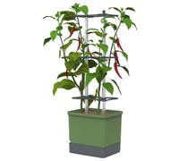 Gusta Garden Charly Chili Pot with Water Tank & Climbing System - Regular Dark Green