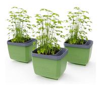 Gusta Garden Herbs Buddy Self-Watering Planter Pot For Herbs, Special Water Level Indicator (3 Pack - Dark Green)