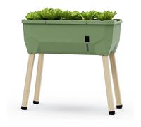 Gusta Garden Sammy Salad Raised Bed Planter For Green Leaves, Self-Watering System, 15L Water Tank, 40L Soil Capacity, Dark Green