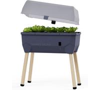 Gusta Garden Sammy Salad Raised Bed Planter For Green Leaves, Removable Lid, Self-Watering, 15L Water Tank, 40L Soil, Anthracite