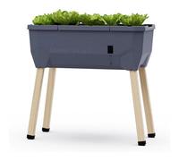 Gusta Garden Sammy Salad Raised Bed Planter For Green Leaves, Self-Watering System, 15L Water Tank, 40L Soil Capacity, Anthracite